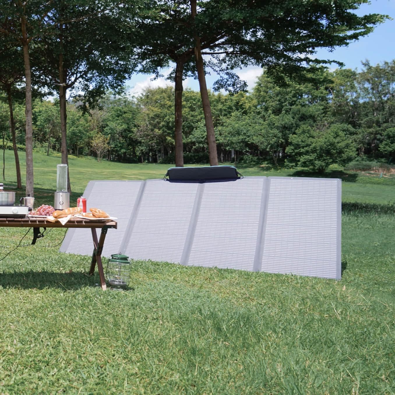 EcoFlow 400W Portable Solar Panel - APP Only - Image 5