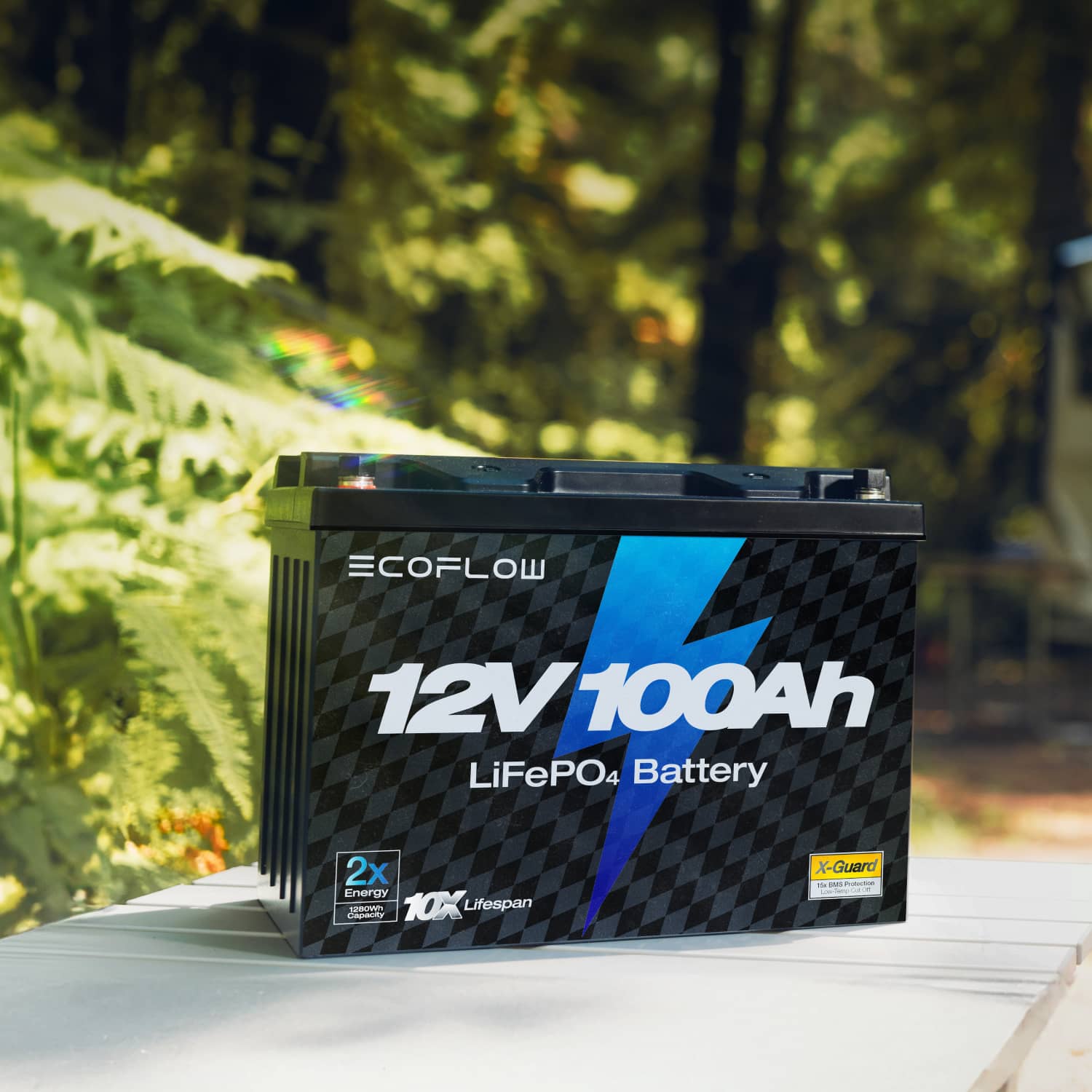 EcoFlow Lithium 12V 100Ah Deep Cycle LiFePO4 Battery - Image 11